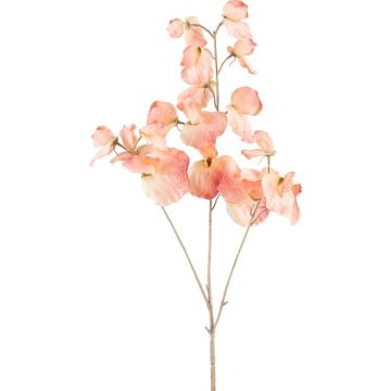 Rama artificial de Lathyrus latifolius SLIRKEN, color albaricoque, 75 cm
