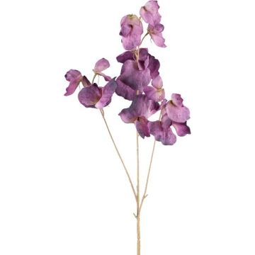 Rama artificial de Lathyrus latifolius SLIRKEN, morado oscuro, 75 cm Rama artificial de Lathyrus latifolius SLIRKEN, morado oscuro, 75 cm