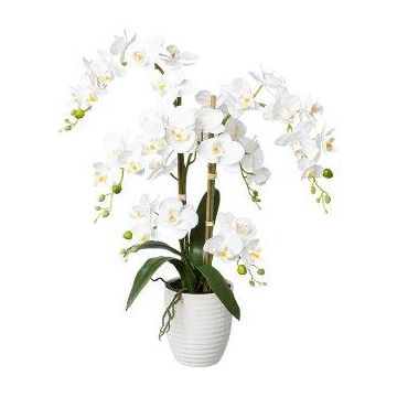 Orquídea Phalaenopsis artificial LUKREN en maceta de cerámica, con raíces, blanca, 65cm