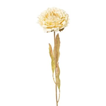 Flor artificial de peonía MASNOR, aspecto seco, color crema, 65cm
