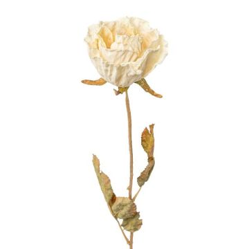 Flor artificial rosa PANSOK, aspecto seco, color crema, 55cm, Ø7cm Flor artificial rosa PANSOK, aspecto seco, color crema, 55cm, Ø7cm