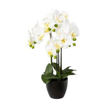 Orquídea Phalaenopsis decorativa UKERNA en maceta de resina, blanca, 55 cm