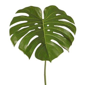 Hoja decorativa de filodendro Monstera Deliciosa THALWIL, 60 cm Hoja decorativa de filodendro Monstera Deliciosa THALWIL, 60 cm