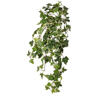 Hiedra artificial colgante ARJANA, varilla de sujeción, ignífuga, verde y blanco, 75 cm Hiedra artificial colgante ARJANA, varilla de sujeción, ignífuga, verde y blanco, 75 cm