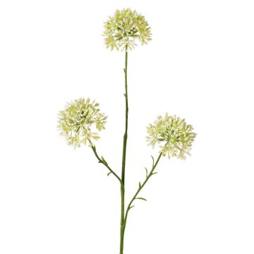 Allium artificial ALIKIO, blanco, 65 cm, Ø 7 cm Allium artificial ALIKIO, blanco, 65 cm, Ø 7 cm