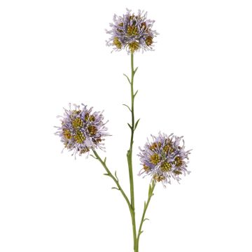Rama decorativa de Allium ZEBU, morada, 65 cm, Ø 7 cm Rama decorativa de Allium ZEBU, morada, 65 cm, Ø 7 cm