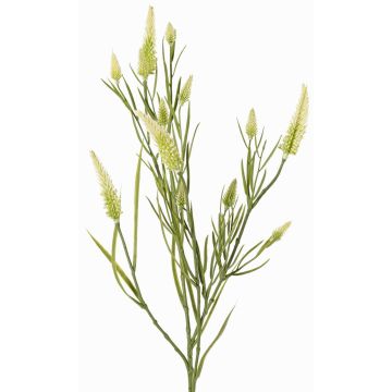 Rama artificial de trébol EUTIN con flores, blanco y verde, 80 cm, Ø 1,5-2 cm Rama artificial de trébol EUTIN con flores, blanco y verde, 80 cm, Ø 1,5-2 cm