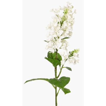 Rama artificial de lila ADMIR, blanca, 80cm, Ø6-9cm Rama artificial de lila ADMIR, blanca, 80cm, Ø6-9cm
