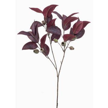 Rama de eucalipto artificial VIZIMIR con frutos, rojo burdeos, 80 cm Rama de eucalipto artificial VIZIMIR con frutos, rojo burdeos, 80 cm