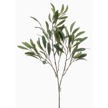 Rama decorativa de olivo RIGELIO, 80 cm Rama decorativa de olivo RIGELIO, 80 cm