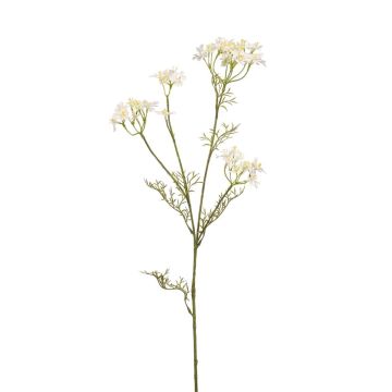 Rama artificial de eneldo NUTMEG con flores, blanco, 85 cm Rama artificial de eneldo NUTMEG con flores, blanco, 85 cm