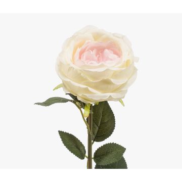 Rosa artificial THYRI, rosa crema, 65 cm, Ø 10 cm Rosa artificial THYRI, rosa crema, 65 cm, Ø 10 cm