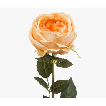 Rosa artificial THYRI, melocotón, 65 cm, Ø 10 cm Rosa artificial THYRI, melocotón, 65 cm, Ø 10 cm