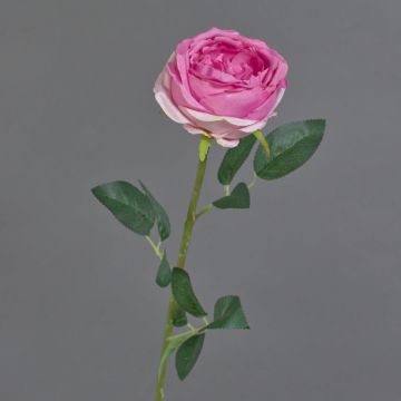 Rosa artificial THYRI, rosa-fucsia, 65 cm, Ø 10 cm Rosa artificial THYRI, rosa-fucsia, 65 cm, Ø 10 cm