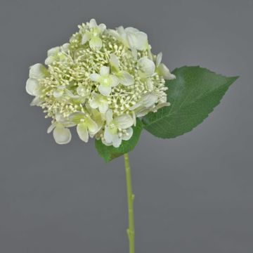 Hortensia artificial CALESA, blanco-verde, 50 cm, Ø 15 cm