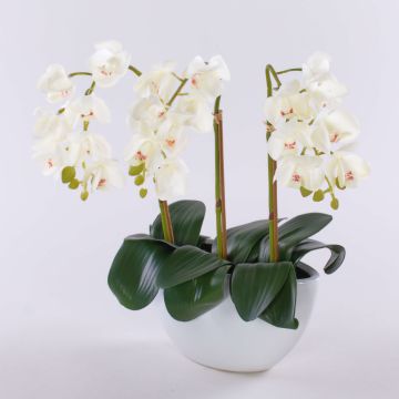 Orquídea Phalaenopsis de plástico JASMIN en cuenco de cerámica, blanca, 40 cm
