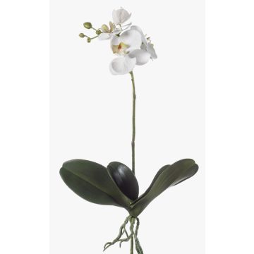Orquídea de plástico Phalaenopsis FAO, con estaca, blanca, 45cm