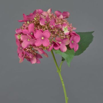 Hortensia artificial CALESA, rosa chillón, 50 cm, Ø 15 cm