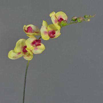 Rama textil de orquídea Phalaenopsis DAJANA, amarillo-rosa, 90cm