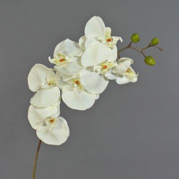 Rama artificial de orquídea Phalaenopsis RICKY, color crema, 95 cm, Ø 7-11 cm
