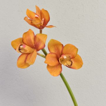 Rama decorativa de orquídea Cymbidium SERAPHINA, amarillo anaranjado, 45 cm, Ø 10-13 cm Rama decorativa de orquídea Cymbidium SERAPHINA, amarillo anaranjado, 45 cm, Ø 10-13 cm