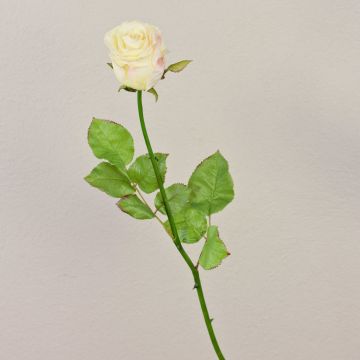 Rosa artificial OPHELIE, rosa crema, 85 cm, Ø 7 cm Rosa artificial OPHELIE, rosa crema, 85 cm, Ø 7 cm