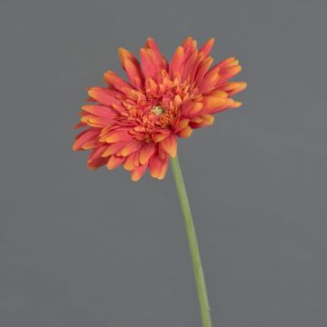 Gerbera artificial AITANA, naranja, 55 cm, Ø 10,5 cm Gerbera artificial AITANA, naranja, 55 cm, Ø 10,5 cm