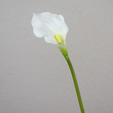 Calla de plástico PEPITA, blanco, 55cm, 7x11cm