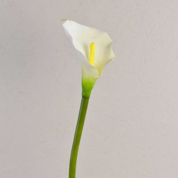 Calla de plástico SUSANA, blanca, 70cm, 8x12cm