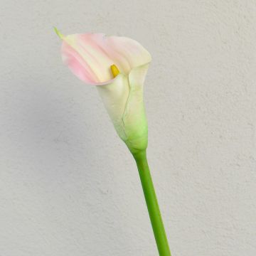 Zantedeschia artificial TALEA, blanco-rosa, 65 cm, 9 x 11 cm Zantedeschia artificial TALEA, blanco-rosa, 65 cm, 9 x 11 cm