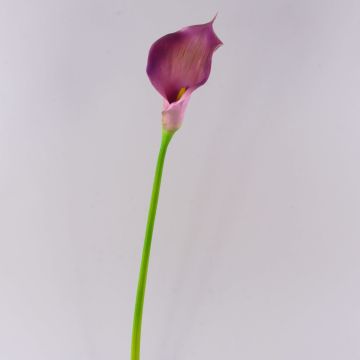 Calla sintética TERESA, violeta, 70cm, 10x18cm Calla sintética TERESA, violeta, 70cm, 10x18cm