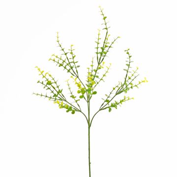 Rama de eucalipto de plástico SERAFIN, verde, 60cm