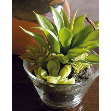 Arreglo de suculentas de espuma plástica TIMOTHY en vaso, verde, 18 cm