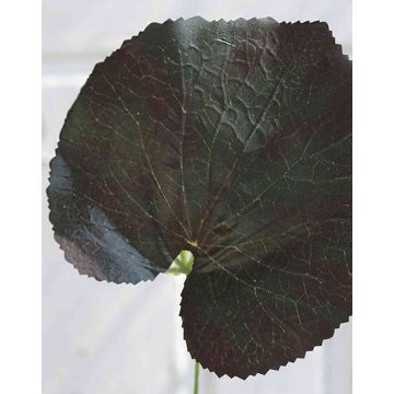 Hoja de geranio artificial HEIDEGARD, verde-rojo, 38 cm, Ø 14 cm