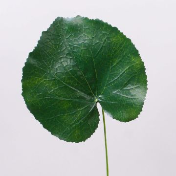 Hoja de geranio sintética HEIDEGARD, verde, 38cm, Ø14cm Hoja de geranio sintética HEIDEGARD, verde, 38cm, Ø14cm