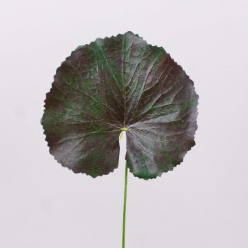 Hoja de geranio artificial HEIDEGARD, verde y rojo, 38cm, Ø13cm Hoja de geranio artificial HEIDEGARD, verde y rojo, 38cm, Ø13cm