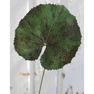Hoja de geranio artificial HEIDEGARD, verde y rojo, 38 cm, Ø 13 cm
