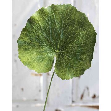 Hoja de geranio artificial HEIDEGARD, verde, 38 cm, Ø 13 cm