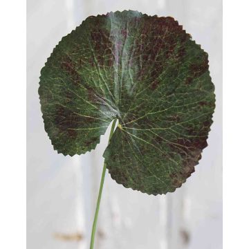 Hoja artificial de geranio HEIDEGARD, verde y rojo, 38 cm, Ø 11 cm