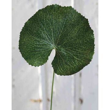 Hoja artificial de geranio HEIDEGARD, verde, 38 cm, Ø 11 cm