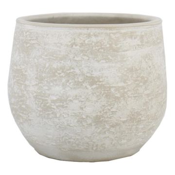 Maceta de cemento ASIALY con veteado, gris claro, 31 cm, Ø 36 cm Maceta de cemento ASIALY con veteado, gris claro, 31 cm, Ø 36 cm