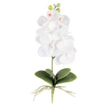 Orquídea Phalaenopsis artificial DRINTOR, varilla de sujeción, raíces, blanca, 40 cm Orquídea Phalaenopsis artificial DRINTOR, varilla de sujeción, raíces, blanca, 40 cm