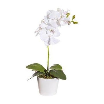 Orquídea Phalaenopsis artificial TRALKE, varilla, raíces, blanca, 40 cm Orquídea Phalaenopsis artificial TRALKE, varilla, raíces, blanca, 40 cm