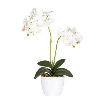Orquídea Phalaenopsis artificial FRUXO, varilla, raíces, blanco, 50 cm Orquídea Phalaenopsis artificial FRUXO, varilla, raíces, blanco, 50 cm