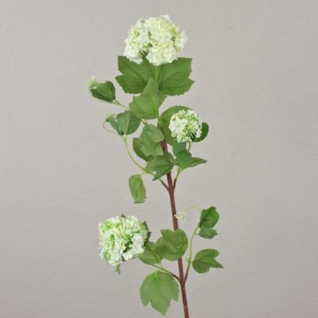Viburnum artificial DJAMILA, blanco-verde, 75cm, Ø4-8cm