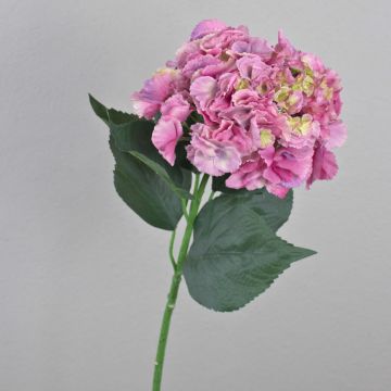 Ortensia artificial ANGELINA, fucsia-amarillo, 70cm, Ø23cm