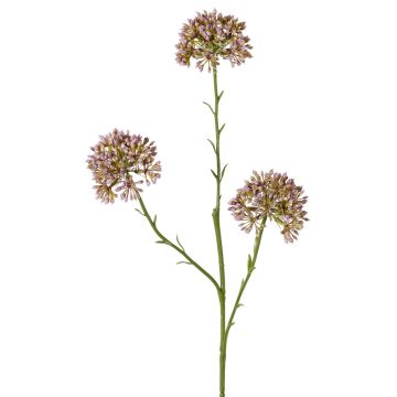 Allium artificial ALIKIO, morado, 65 cm, Ø 7 cm Allium artificial ALIKIO, morado, 65 cm, Ø 7 cm