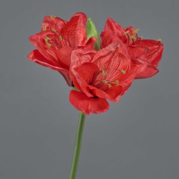 Amarilis de plástico BENITA, rojo, 55cm, Ø10cm