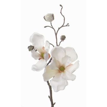 Magnolia de plástico MALBINE, crema, 50cm, Ø6-10cm