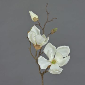 Magnolia de plástico MALBINE, crema, 50cm, Ø6-10cm